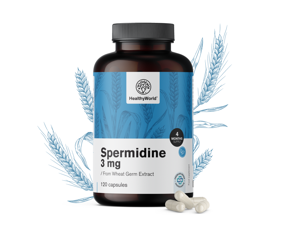 Spermidín 3 mg – z extraktu pšeničných klíčkov