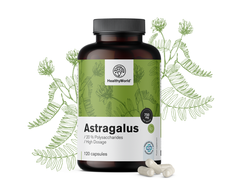Astragalus – extrakt