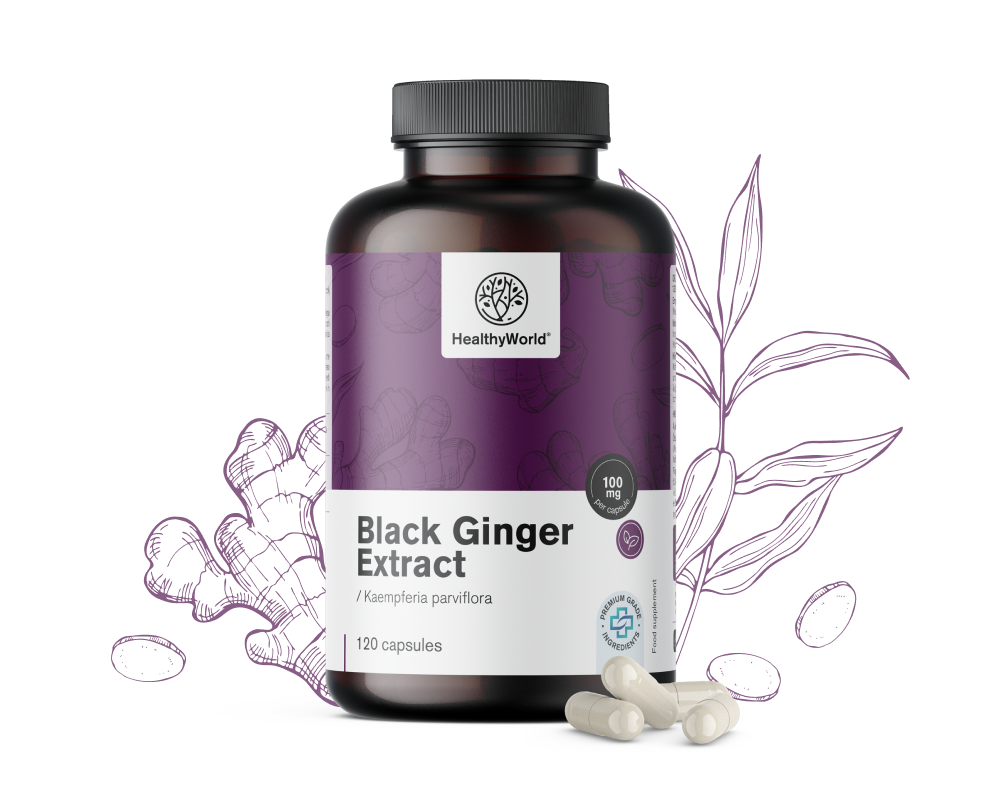 Black Ginger Extract 