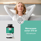 Image preview 2