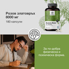 Image preview 2