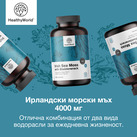 Image preview 3