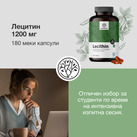 Image preview 2