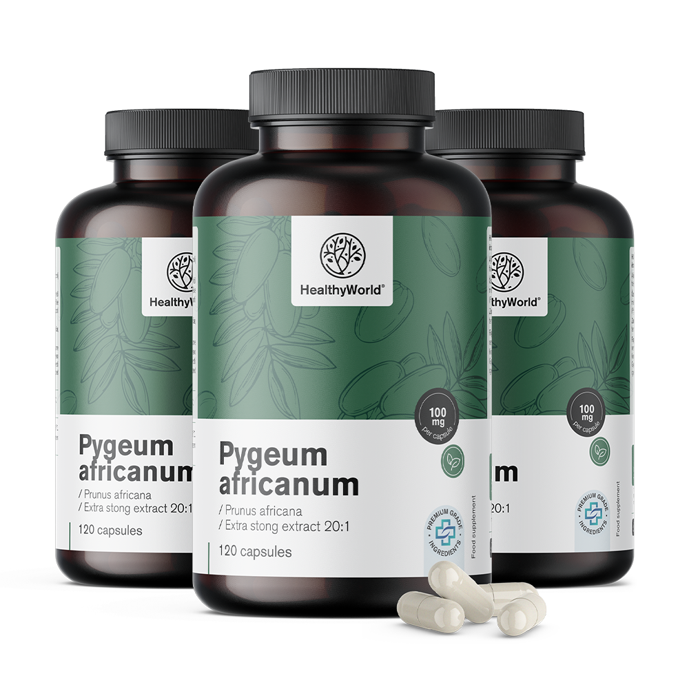 Pygeum - extrait de prune africaine en capsules.