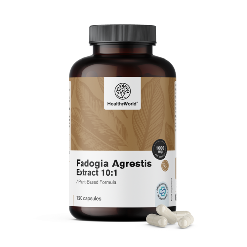 Fadogia Agrestis 1000 mg, 120 gélules 
