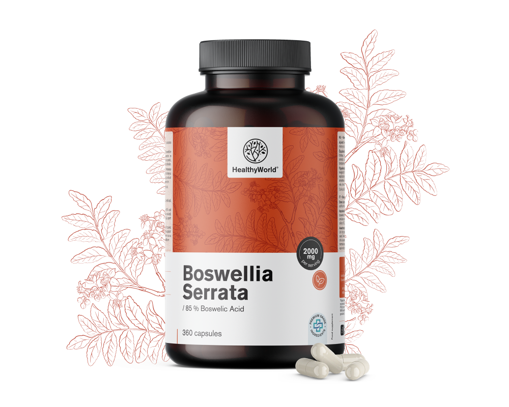 Boswellia (Boswellia Serrata) – 85% acide boswellique