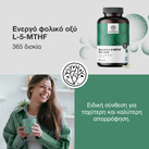Image preview 2