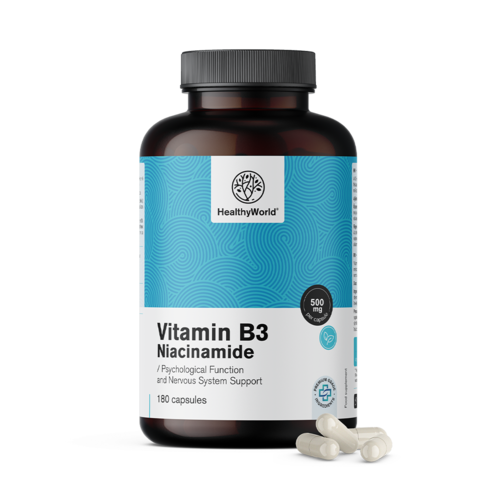 Vitamin B3 500 mg – niacinamid, 180 kapsula