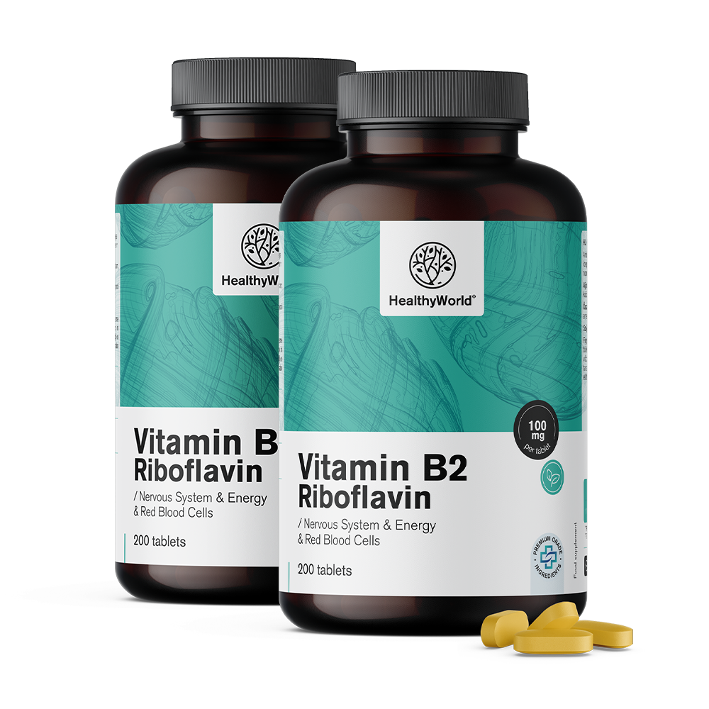 Vitamin B2 – riboflavin 100 mgVitamin B2 – riboflavin 100 mg