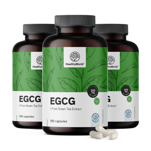 3x EGCG – iz ekstrakta zelenog čaja, ukupno 540 kapsula