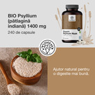 Image preview 2