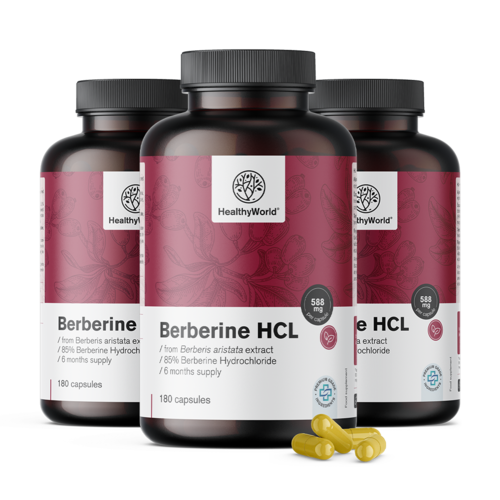 3x Berberina HCL 500 mg, total 540 de capsule