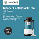 Image preview 3