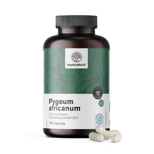 Pygeum – Extrakt aus afrikanischem Pflaumenbaum, 120 Kapseln