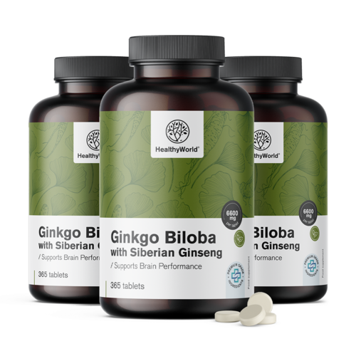 3x Ginkgo mit Sibirischem Ginseng 6600 mg, zusammen 1095 Tabletten