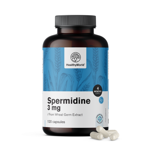 Spermidin 3 mg – aus Weizenkeimextrakt, 120 Kapseln