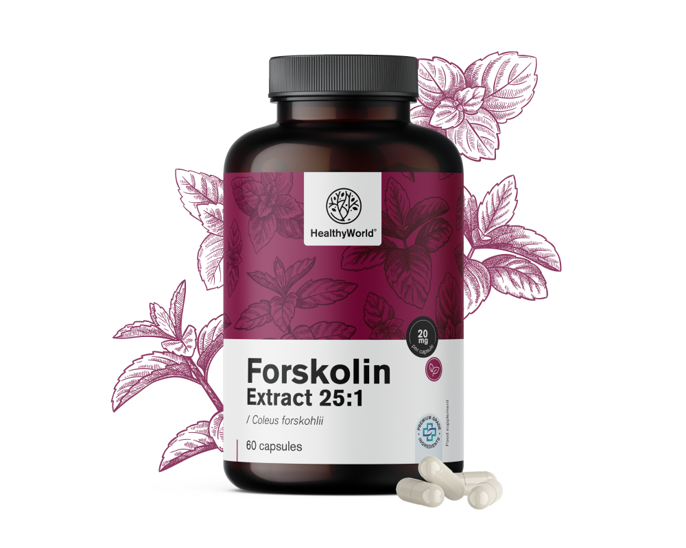 Forskolin – Extrakt aus Indischer Buntnessel 20&nbsp;mg