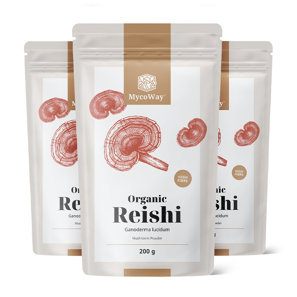 Reishi en polvo BIO