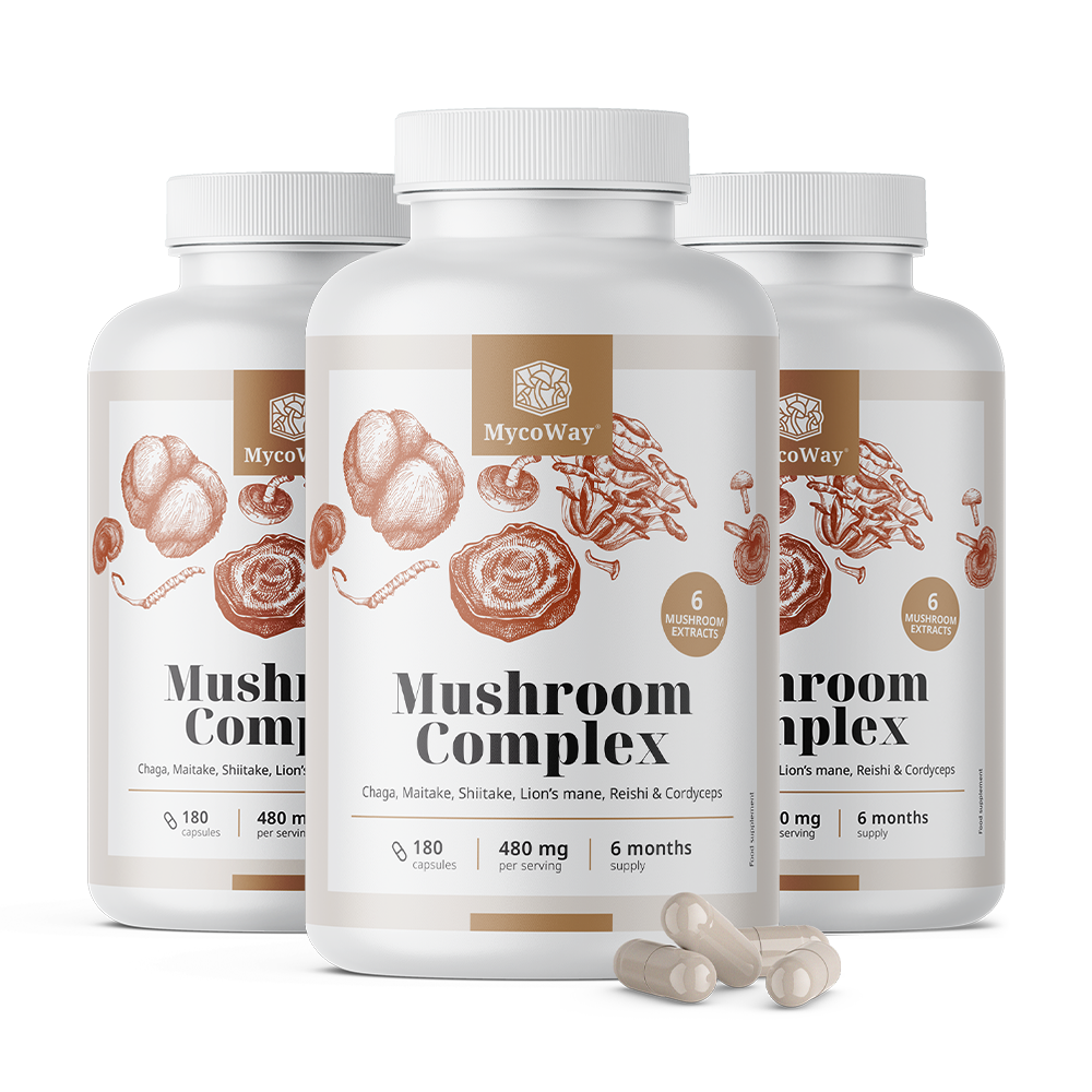 Complexe de 6 champignons