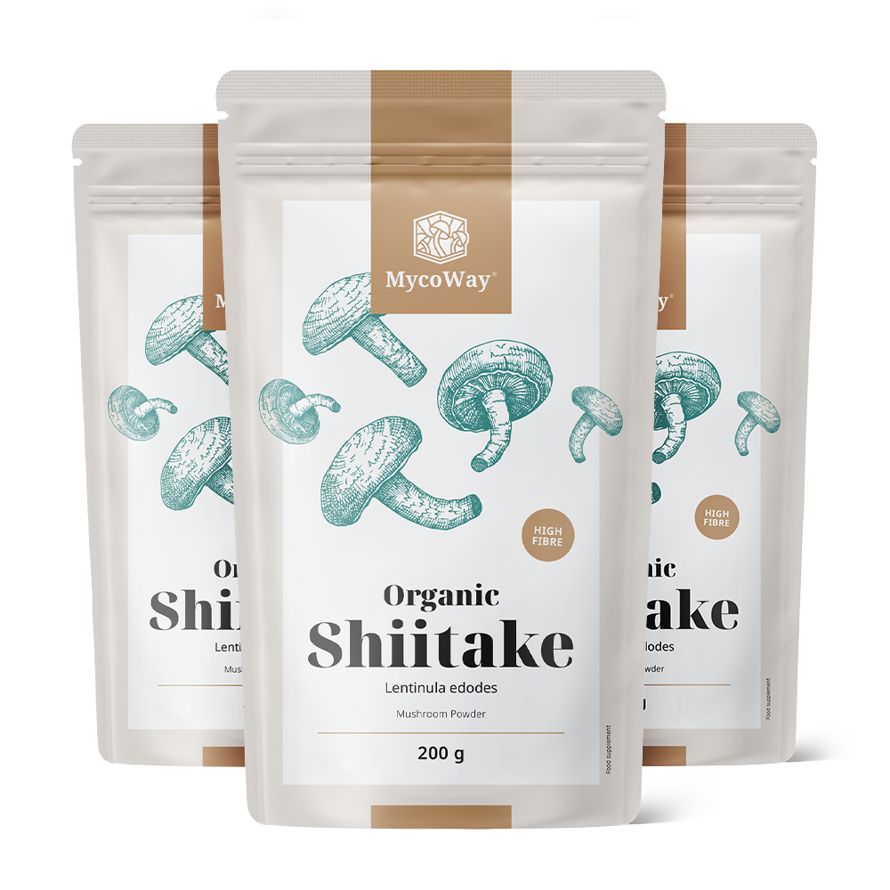 Shiitake en poudre BIO