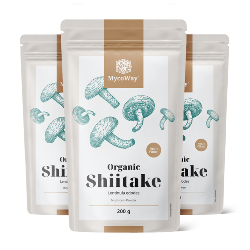 3x BIO Shiitake en poudre, ensemble 600 g