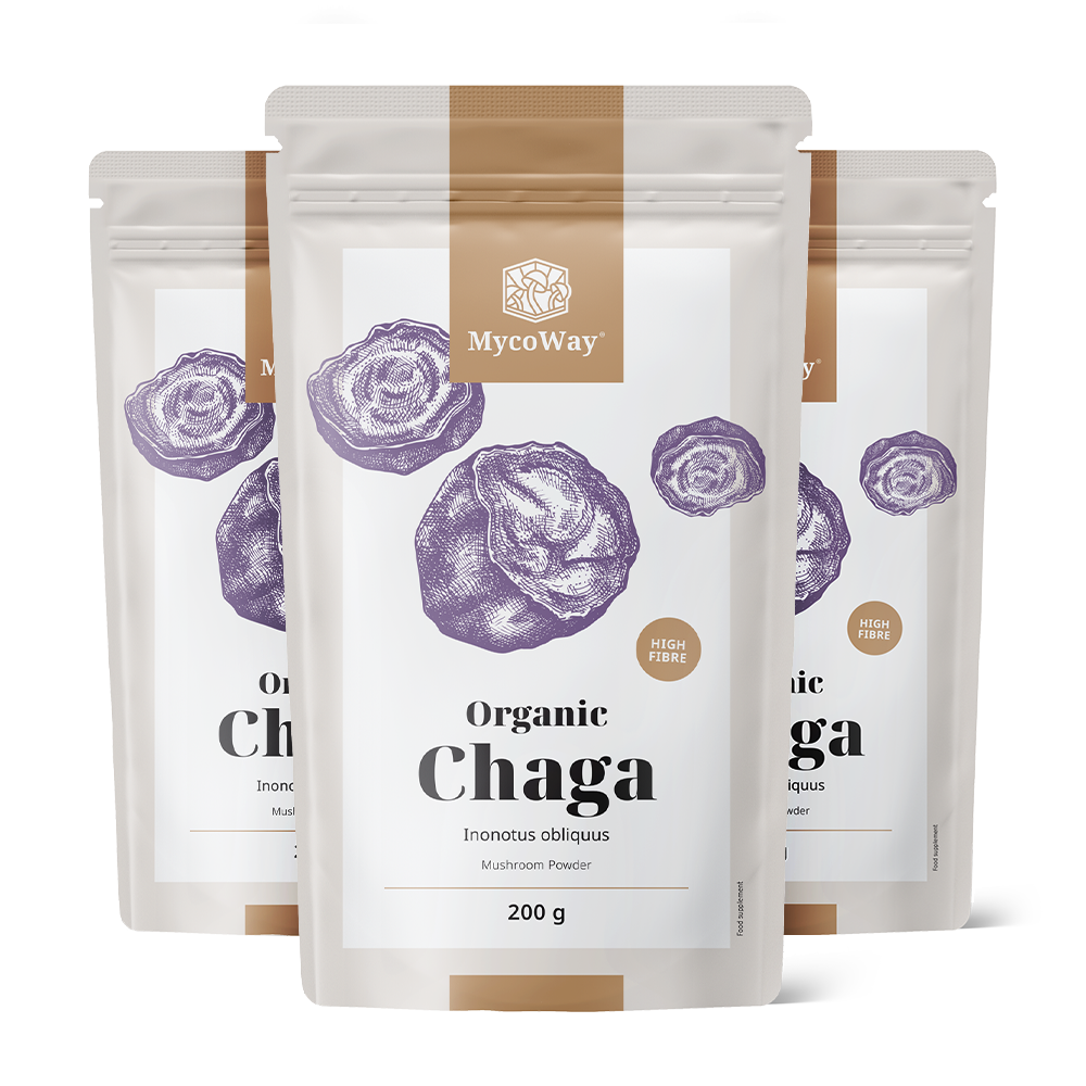 Chaga en poudre BIO