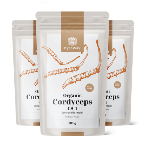 3x BIO Cordyceps CS-4 σε σκόνη, συνολικά 600 γρ