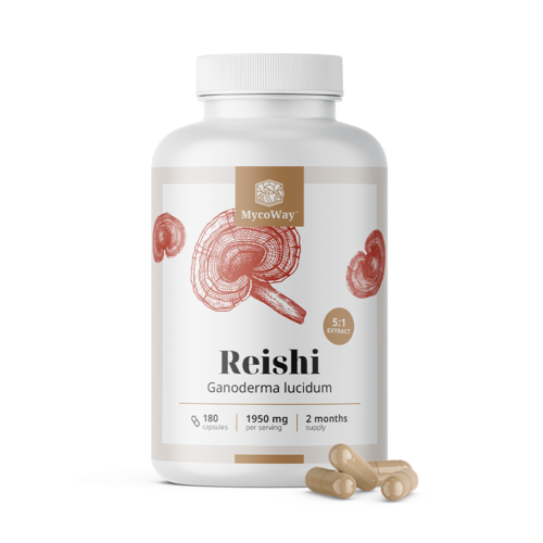 Reishi 1950 mg - Extract 5:1, 180 capsules