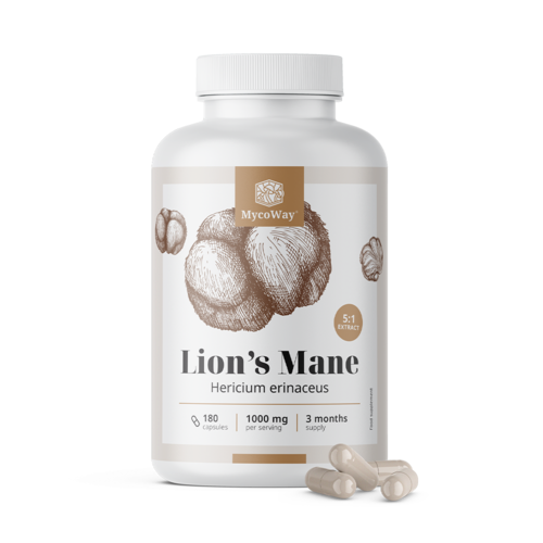 Lion’s Mane 1000 mg – 5:1 Extract, 180 capsules