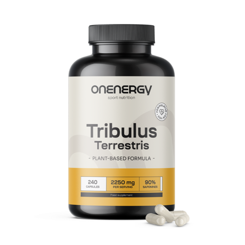Buzdyganek naziemny – Tribulus 2250 mg, 240 kapsułek
