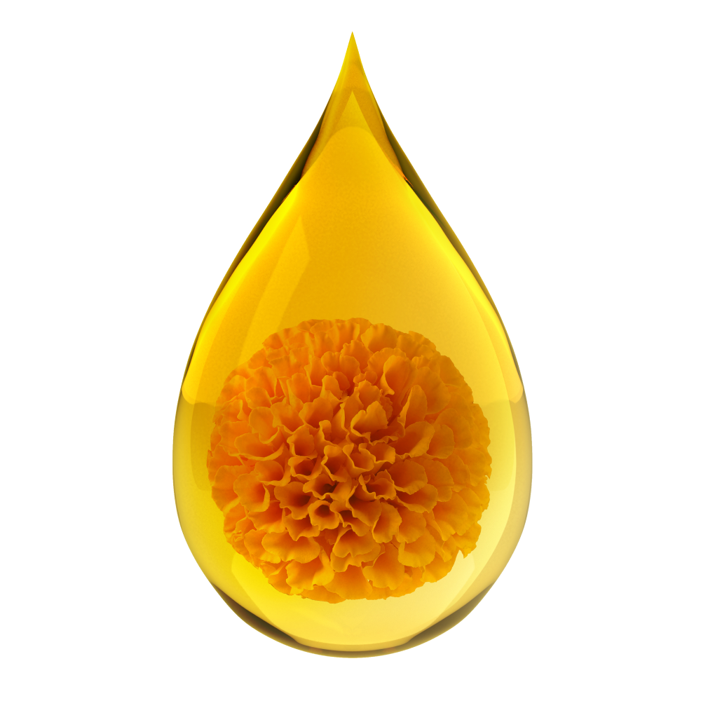 Lutein