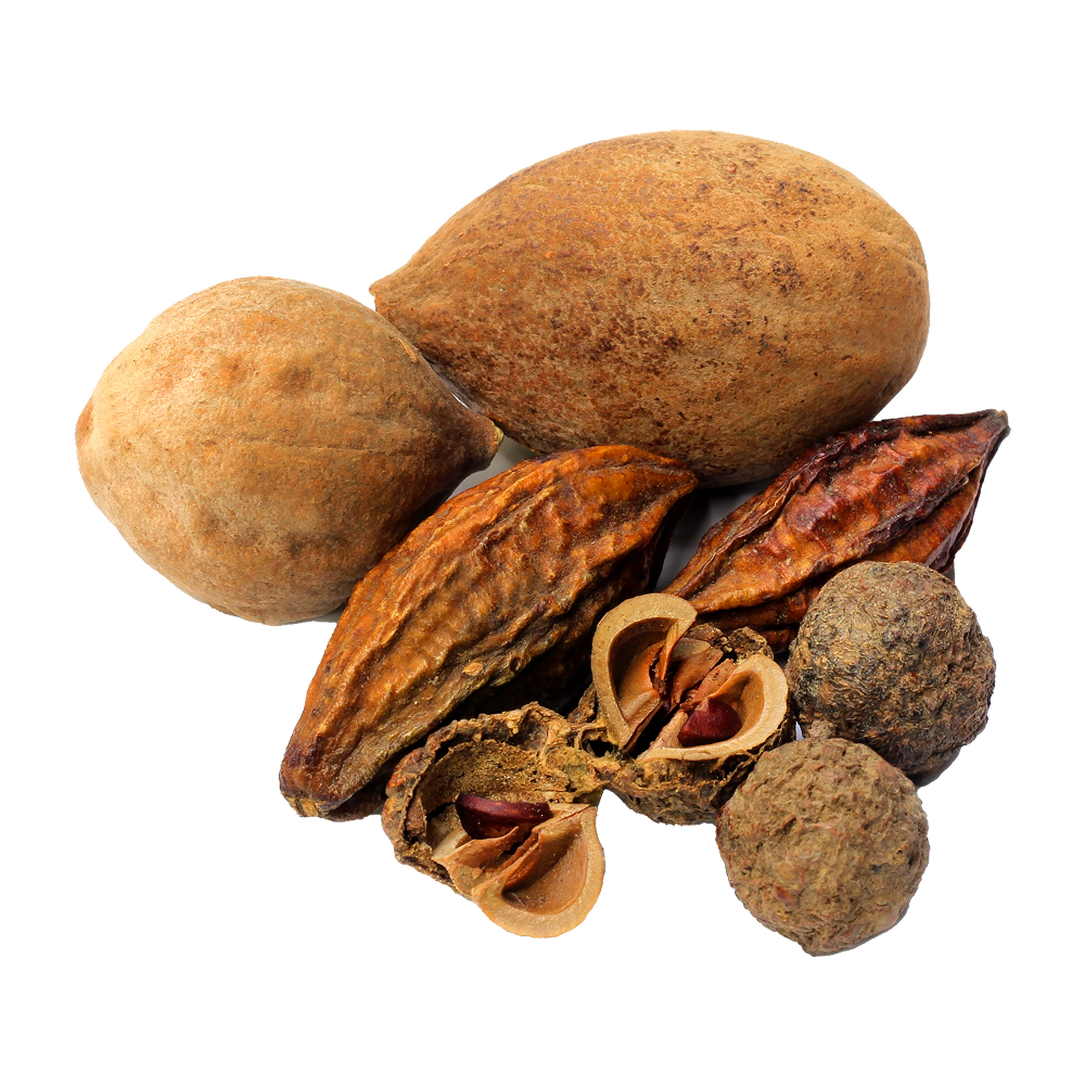 Mistura de Triphala