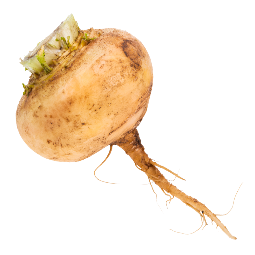 Extrato de maca