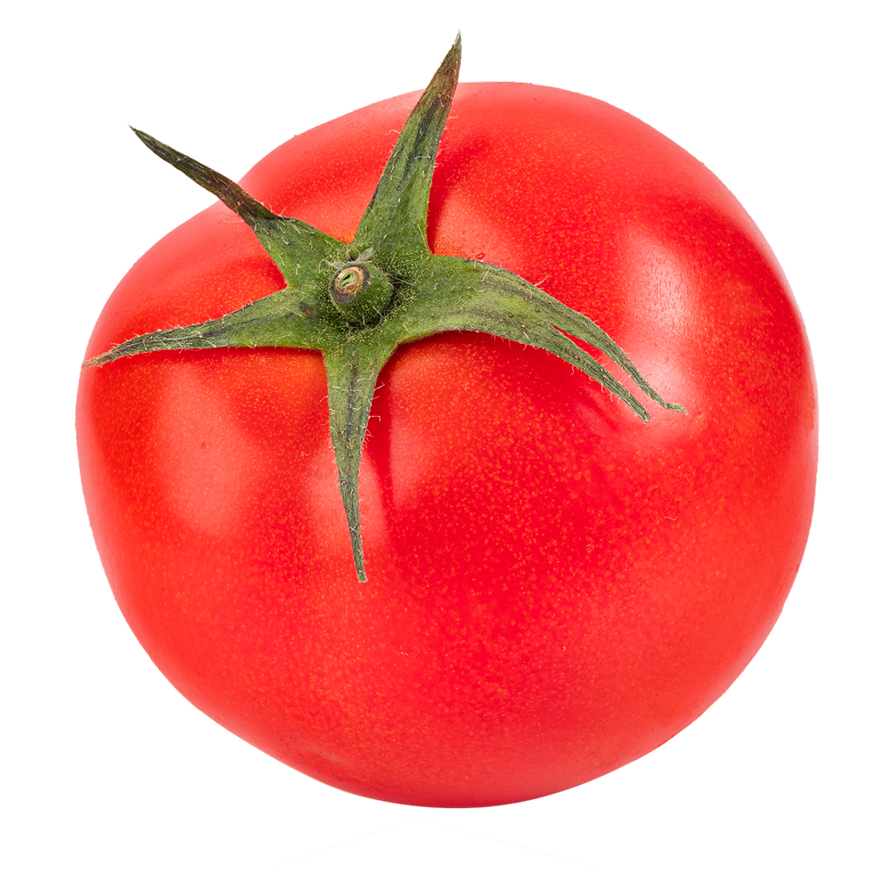 Extrato de tomate