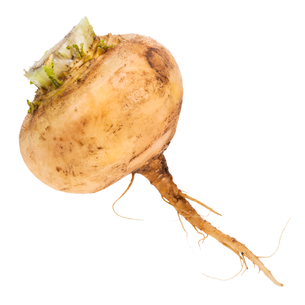 Estratto di maca